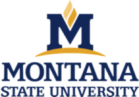 Montana State University Logo 1