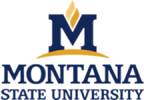 Montana State University Logo