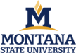 montana-state-university-logo-3